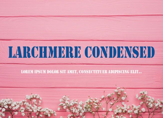 Larchmere Condensed example